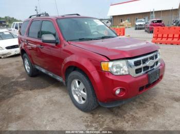  Salvage Ford Escape