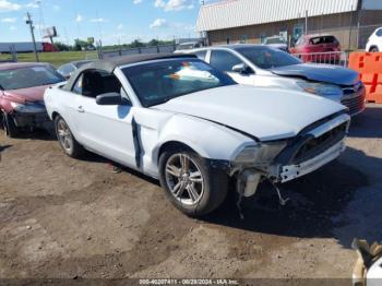  Salvage Ford Mustang