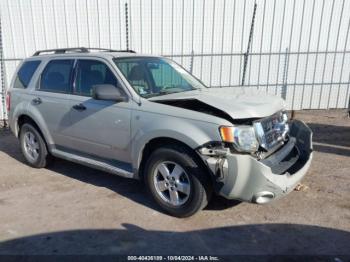  Salvage Ford Escape