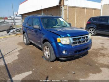  Salvage Ford Escape