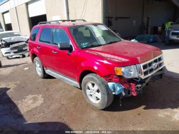  Salvage Ford Escape