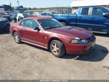  Salvage Ford Mustang