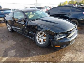  Salvage Ford Mustang