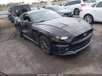  Salvage Ford Mustang