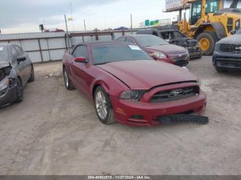  Salvage Ford Mustang