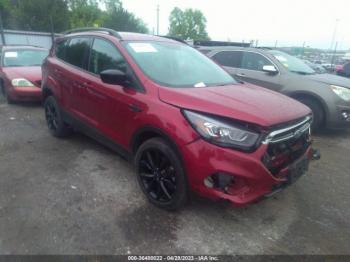  Salvage Ford Escape