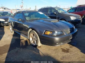  Salvage Ford Mustang