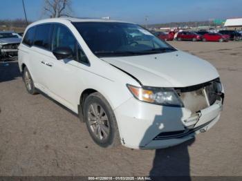  Salvage Honda Odyssey