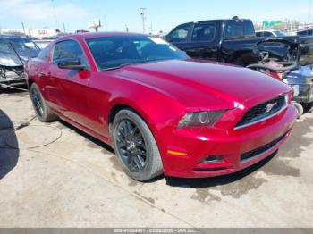  Salvage Ford Mustang