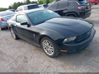  Salvage Ford Mustang
