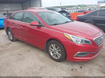  Salvage Hyundai SONATA