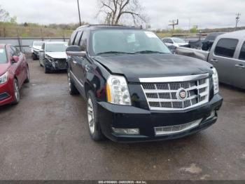  Salvage Cadillac Escalade