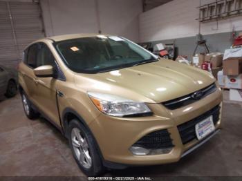  Salvage Ford Escape