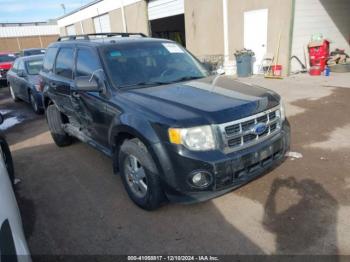  Salvage Ford Escape
