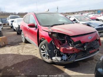  Salvage Ford Escape