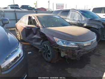  Salvage Honda Accord