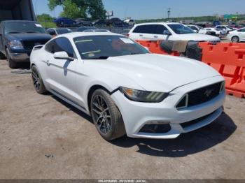  Salvage Ford Mustang