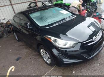  Salvage Hyundai ELANTRA