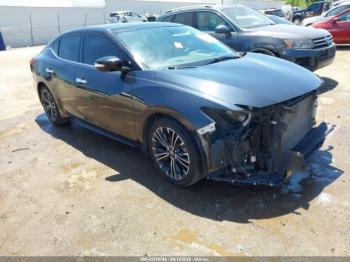  Salvage Nissan Maxima