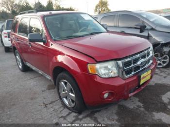 Salvage Ford Escape