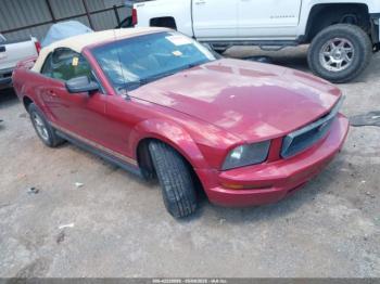  Salvage Ford Mustang