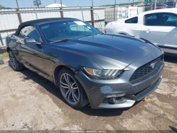  Salvage Ford Mustang