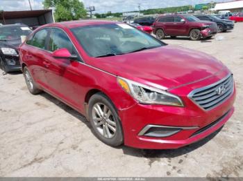  Salvage Hyundai SONATA