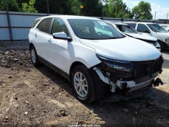  Salvage Chevrolet Equinox