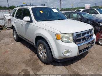 Salvage Ford Escape