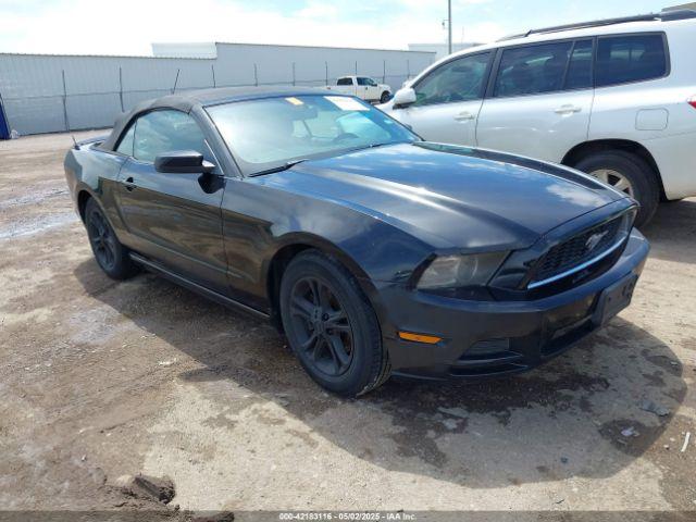  Salvage Ford Mustang