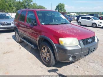  Salvage Ford Escape