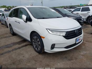  Salvage Honda Odyssey