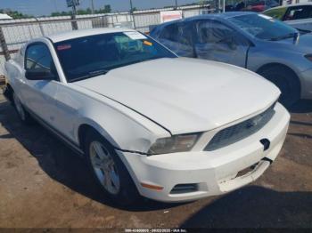  Salvage Ford Mustang
