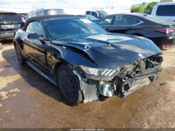  Salvage Ford Mustang