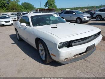  Salvage Dodge Challenger