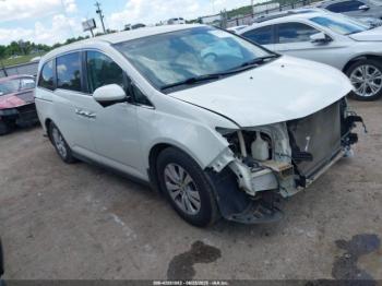  Salvage Honda Odyssey