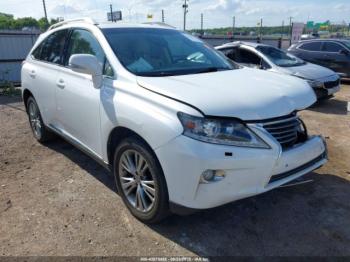  Salvage Lexus RX