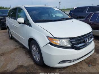  Salvage Honda Odyssey