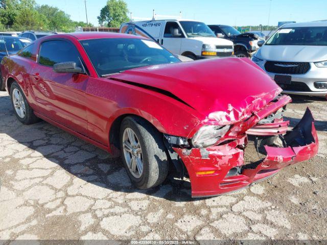  Salvage Ford Mustang