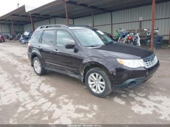  Salvage Subaru Forester
