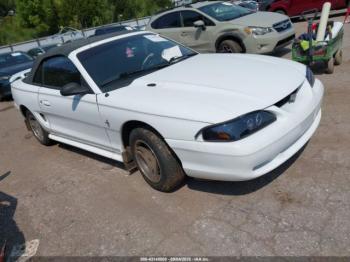  Salvage Ford Mustang