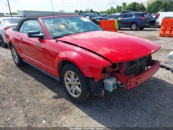  Salvage Ford Mustang