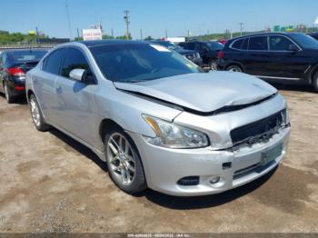  Salvage Nissan Maxima