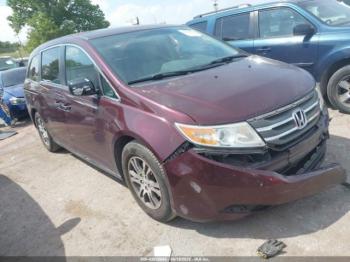  Salvage Honda Odyssey
