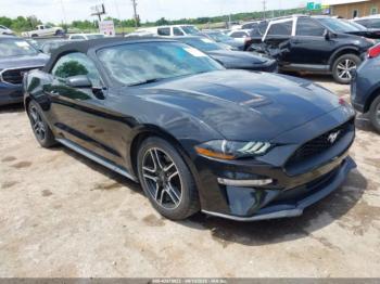  Salvage Ford Mustang