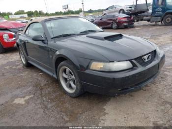  Salvage Ford Mustang