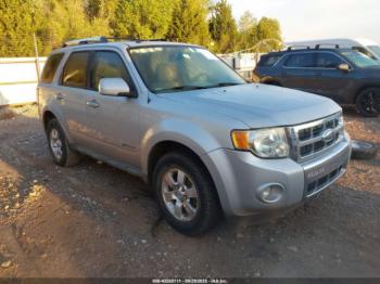  Salvage Ford Escape