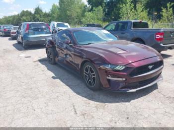  Salvage Ford Mustang