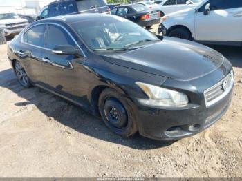  Salvage Nissan Maxima