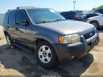  Salvage Ford Escape